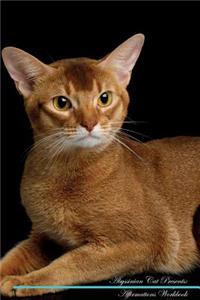 Abyssinian Cat Affirmations Workbook Abyssinian Cat Presents