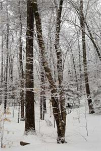 Winter Day Journal Overcast