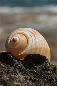 A Pretty Seashell on the Beach Summer Vacation Journal