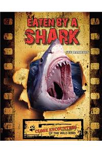 Eaten by a Shark