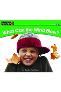 What Can the Wind Blow? Leveled Text