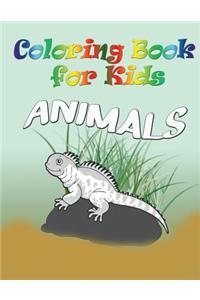 Coloring Book for Kids