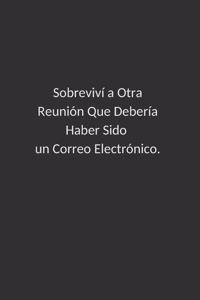 Sobreviví a Otra Reunión Que Debería Haber Sido un Correo Electrónico.