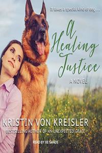 Healing Justice Lib/E