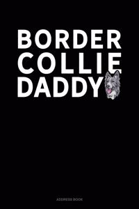 Border Collie Daddy