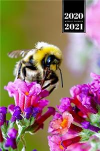 Bee Insects Beekeeping Beekeeper Week Planner Weekly Organizer Calendar 2020 / 2021 - Perching on Flower