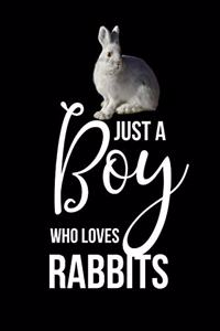 Just A Boy Who Loves Rabbits