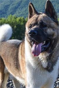 Beautiful Akita Dog Journal