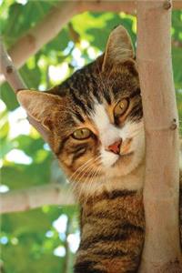 Notebook - Cat Climbing Tree