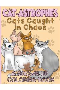 Cat-Astrophes!