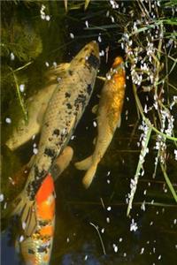 Koi in a Pond Journal