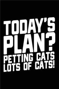 Today's Plan? Petting Cats Lots of Cats!