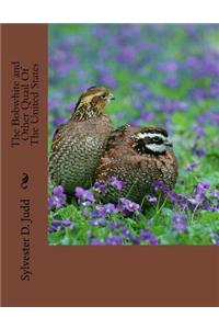 Bobwhite and Other Quail Of The United States