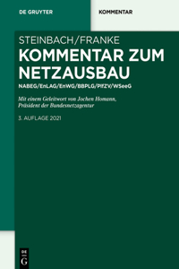 Kommentar Zum Netzausbau