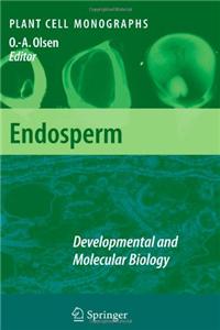 Endosperm
