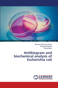 Antibiogram and biochemical analysis of Escherichia coli