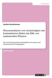 Phytoremediation von verunreinigten und kontaminierten Böden mit Hilfe von ausdauernden Pflanzen