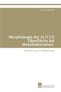 Morphologie der Si-(112) Oberfläche bei Metalladsorption