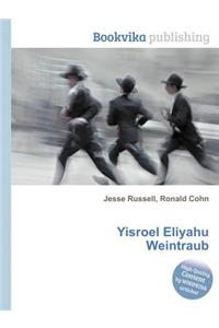 Yisroel Eliyahu Weintraub