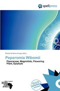 Peperomia Wibomii