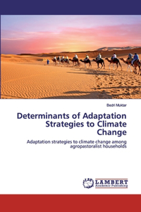 Determinants of Adaptation Strategies to Climate Change