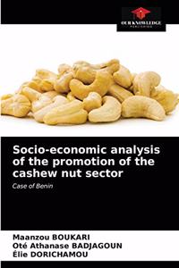 Socio-economic analysis of the promotion of the cashew nut sector