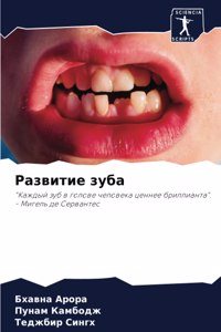 Развитие зуба