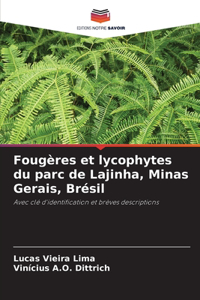 Fougères et lycophytes du parc de Lajinha, Minas Gerais, Brésil