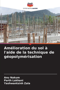 Amélioration du sol à l'aide de la technique de géopolymérisation