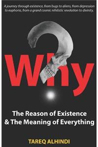 Why? the Reason of Existence & the Meaning of Everything