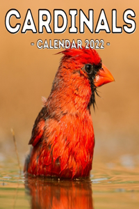 Cardinals Calendar 2022