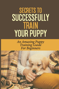 Secrets To Successfully Train Your Puppy