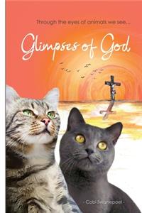 Glimpses of God