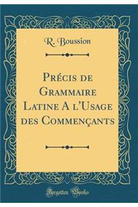 Prï¿½cis de Grammaire Latine a l'Usage Des Commenï¿½ants (Classic Reprint)