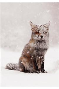 Snow Fox Notecards