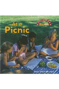 At a Picnic