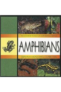 Amphibians