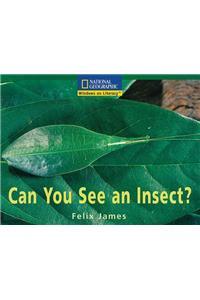 Can You See an Insect?