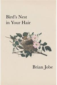 Birds Nest In Your Hair