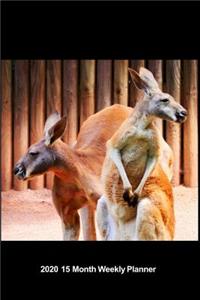 Plan On It 2020 Weekly Calendar Planner - Which Way Should We Go George? Kangaroos