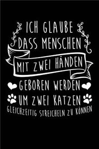 2 Hände Zum Katzen Streicheln