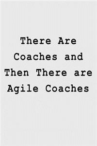 There Are Coaches and Then There are Agile Coaches