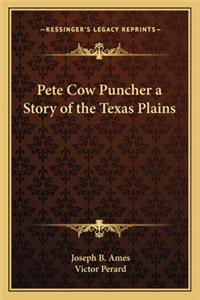 Pete Cow Puncher a Story of the Texas Plains