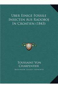 Uber Einige Fossile Insecten Aus Radoboj In Croatien (1843)