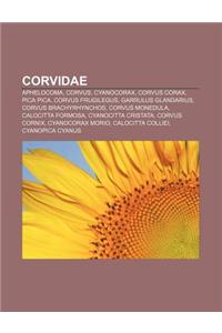 Corvidae