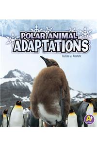 Polar Animal Adaptations