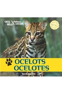 Ocelots/Ocelotes