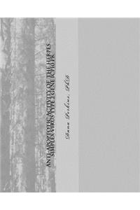 Anti-Apoptotic Activity of the Herpes Simplex Virus Type 2 Gene ICP10 PK