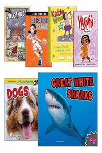 Grade 2 Guided Reading Level Collection (Includes 15 Titles)