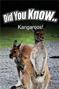 Kangaroos